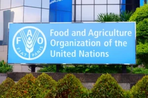 FAO’s Technical Cooperation Programme