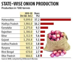 Onion Sector in India